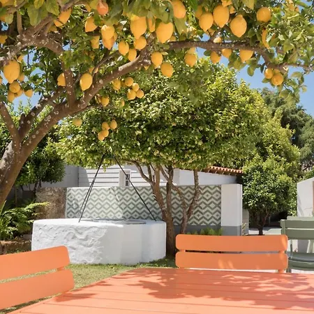 Flamboyant Boutique 4*