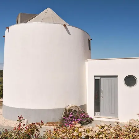 Flamboyant Boutique 칼다스하이냐