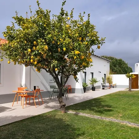 B&B Flamboyant Boutique 칼다스하이냐