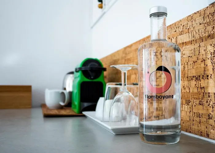 فندق مبيت وإفطار Flamboyant Boutique 4*